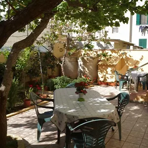 Hibiscus Alghero